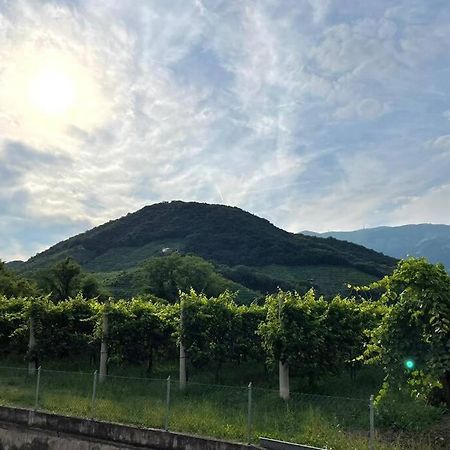 Appartamento Casa di Caio tra le colline del Prosecco Farra di Soligo Esterno foto