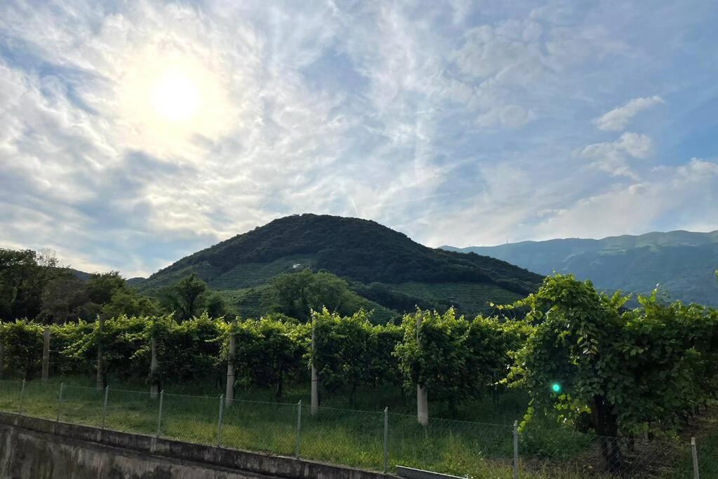 Appartamento Casa di Caio tra le colline del Prosecco Farra di Soligo Esterno foto